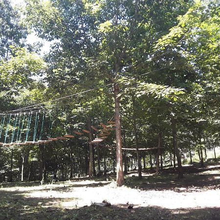 Albergue Mandoia Aterpetxea Arantzazu エクステリア 写真