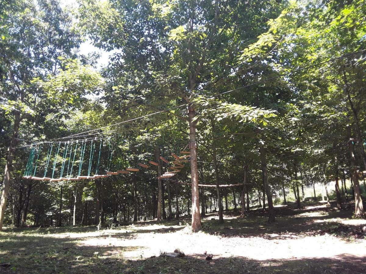Albergue Mandoia Aterpetxea Arantzazu エクステリア 写真