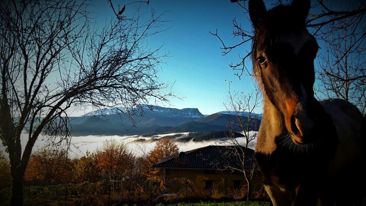 Albergue Mandoia Aterpetxea Arantzazu エクステリア 写真